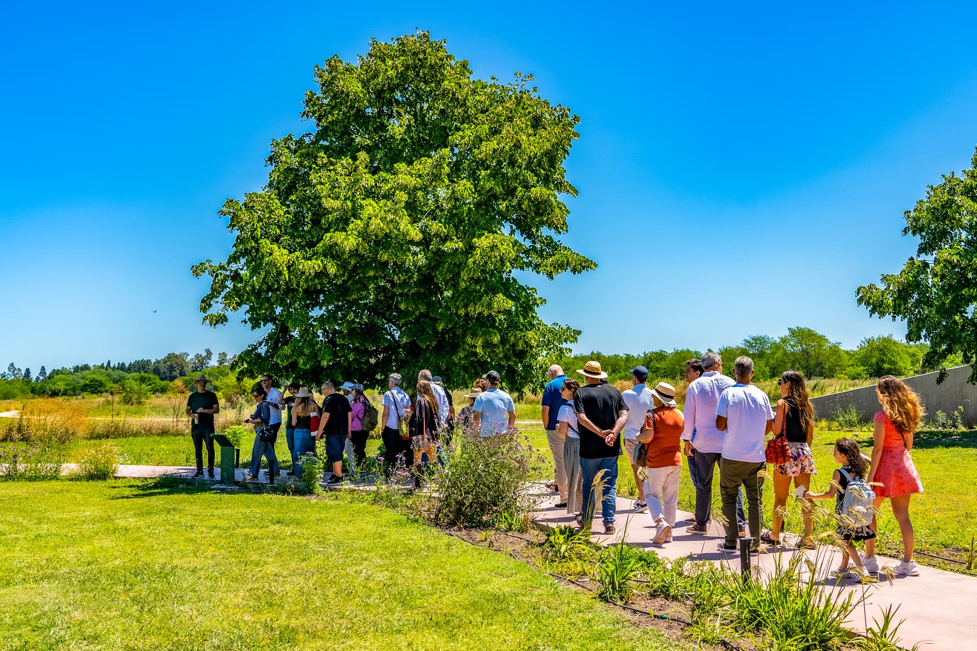 Visitas guiadas al Parque Escultórico